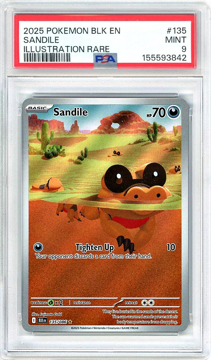 Sandile IR Black Bolt