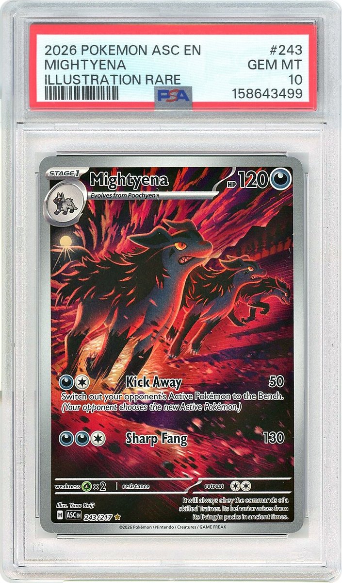 Mightyena IR Ascended Heroes