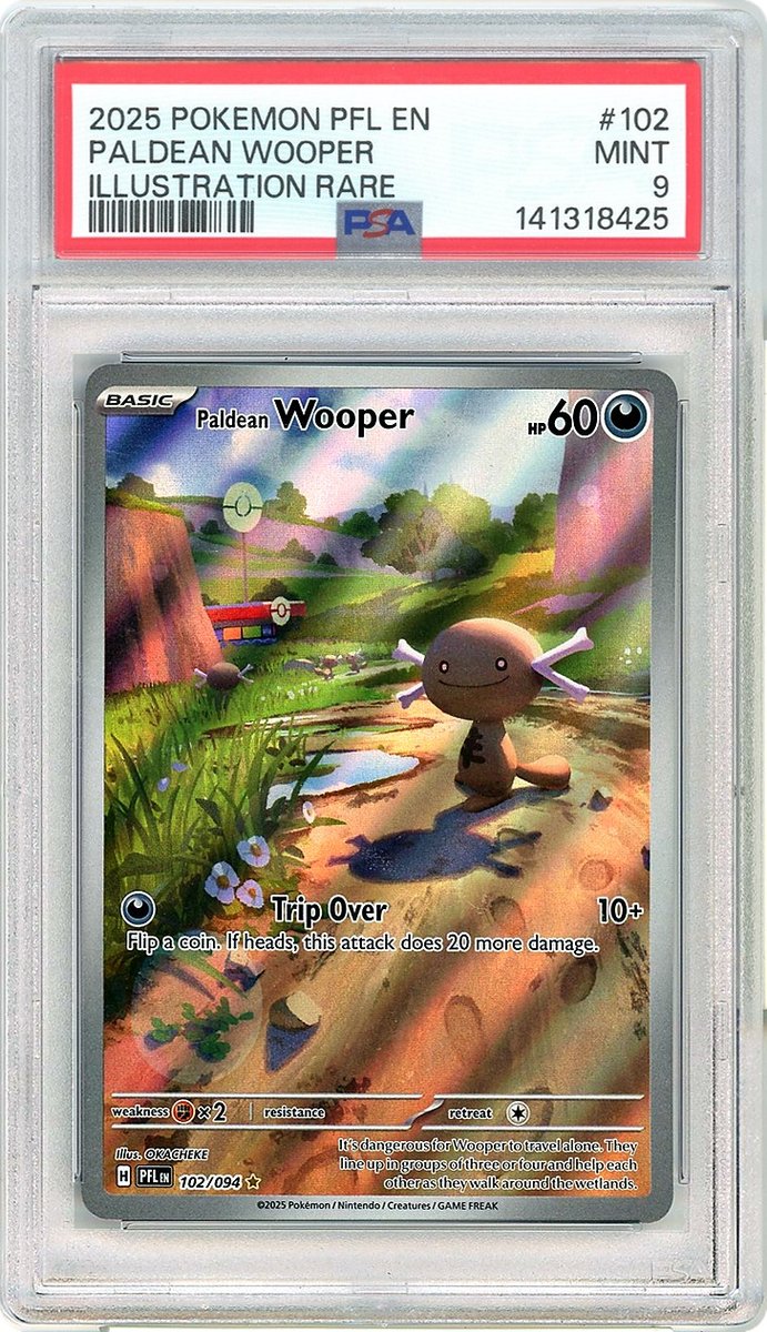 Paldean Wooper