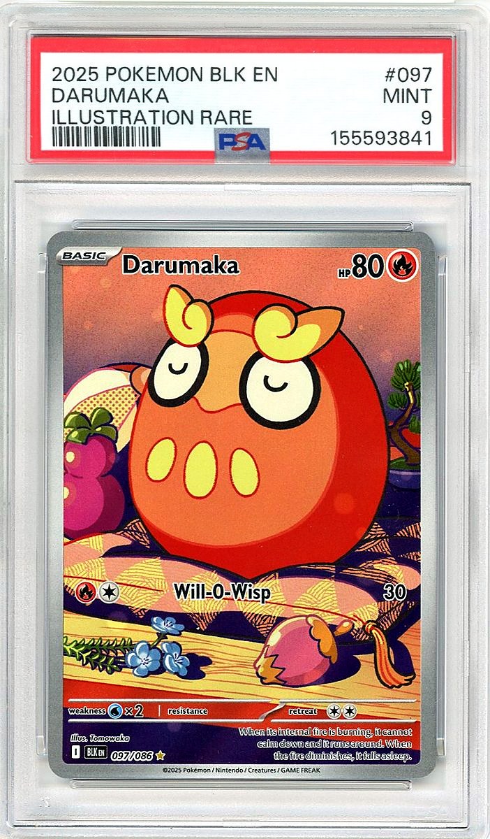 Darumaka