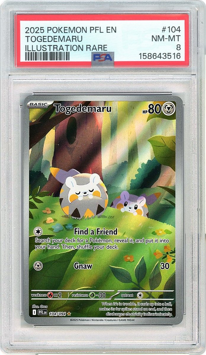 Togedemaru IR Phantasmal Flames PSA 8