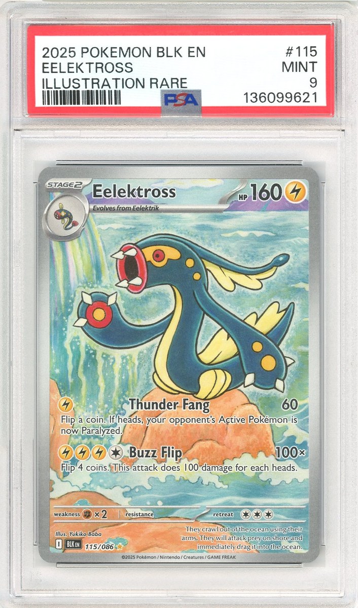 Eelektross