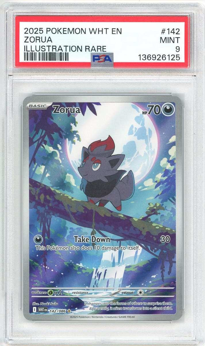 Zorua