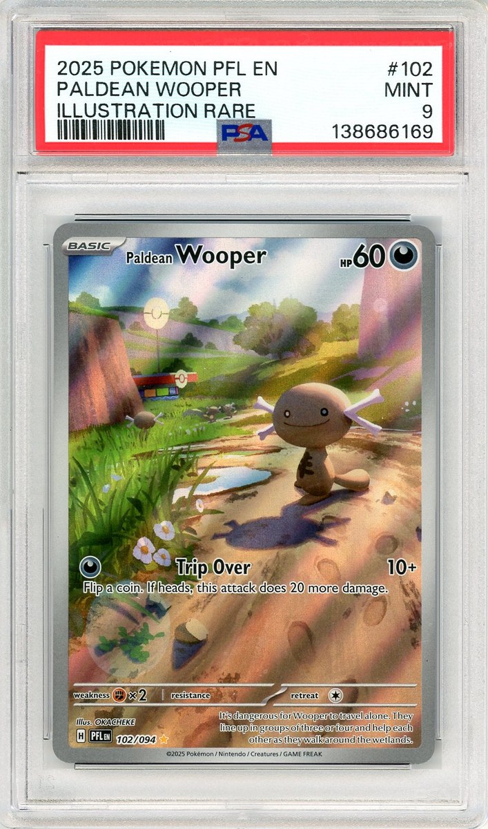 Paldean Wooper