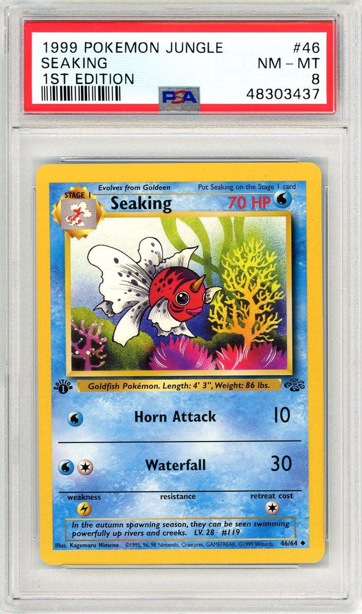 Seaking