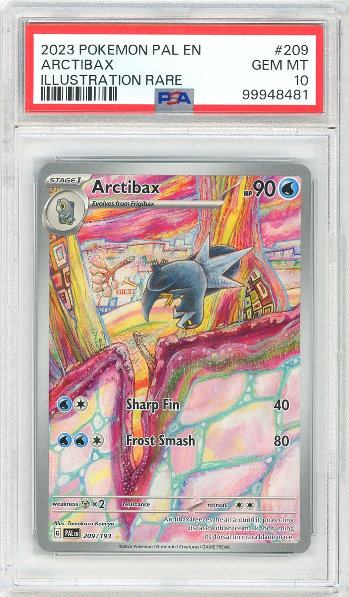 Arctibax
