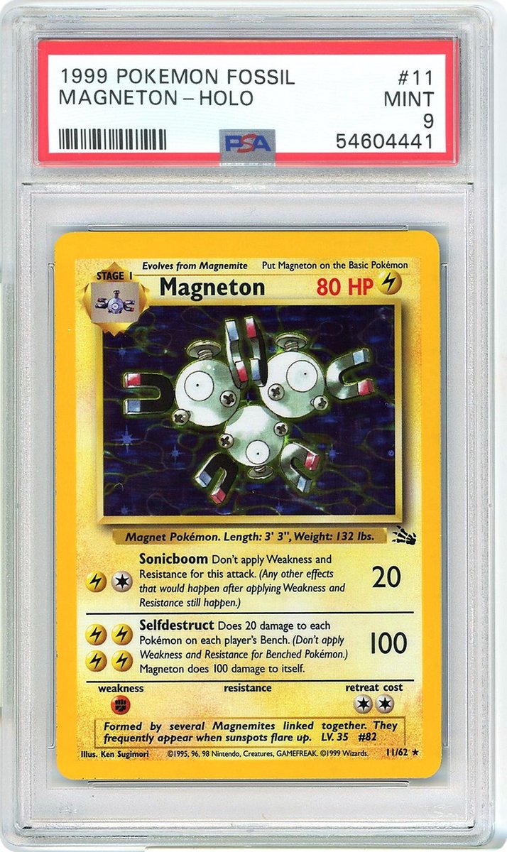 Magneton Fossil