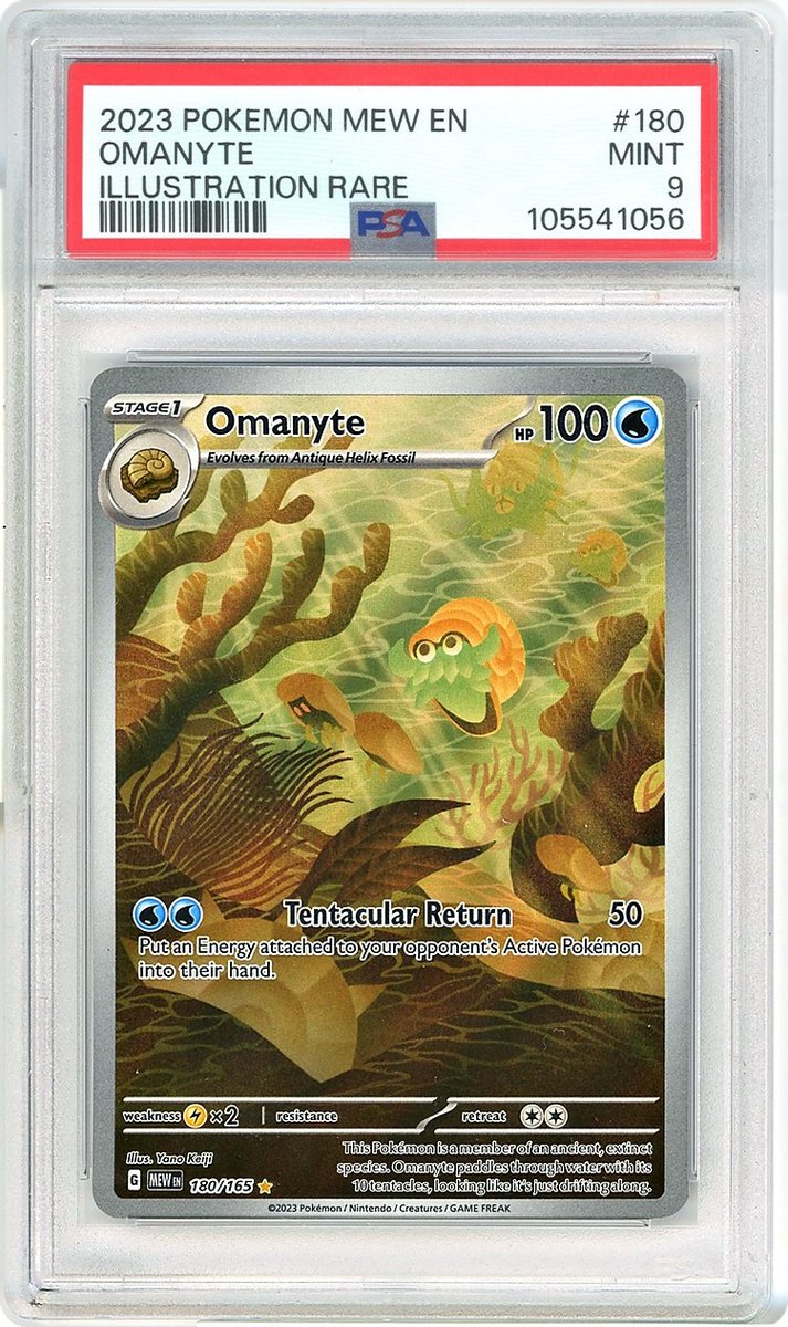 Omanyte