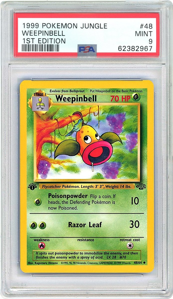 Weepinbell 1st Edition Jungle